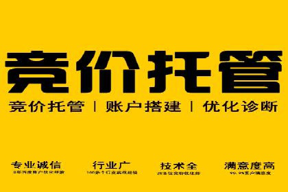 百度竞价推广技巧揭秘：某旅游公司如何利用关键词吸引游客